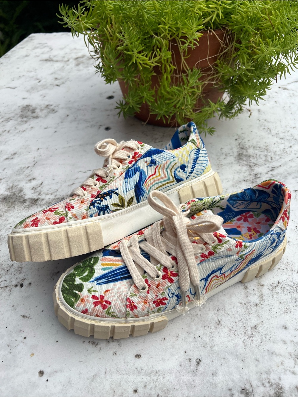 Farm Rio platform Canvas Lace-Up Sneaker keds